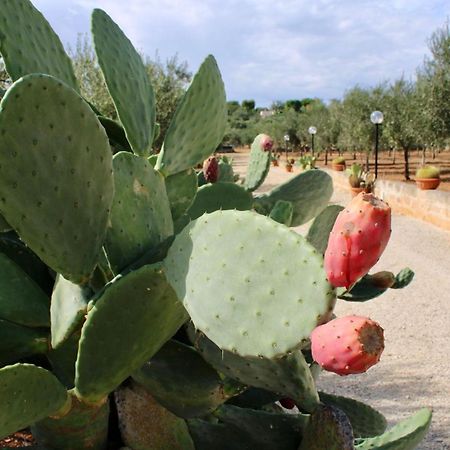 I Trulli Di Gina Appartamento Trullo 6 Persone مونوبولي المظهر الخارجي الصورة