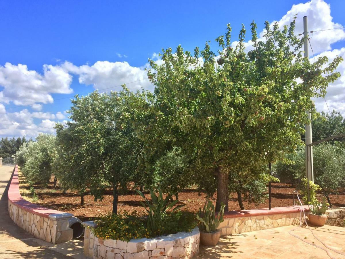 I Trulli Di Gina Appartamento Trullo 6 Persone مونوبولي المظهر الخارجي الصورة